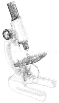 microscope-drawing